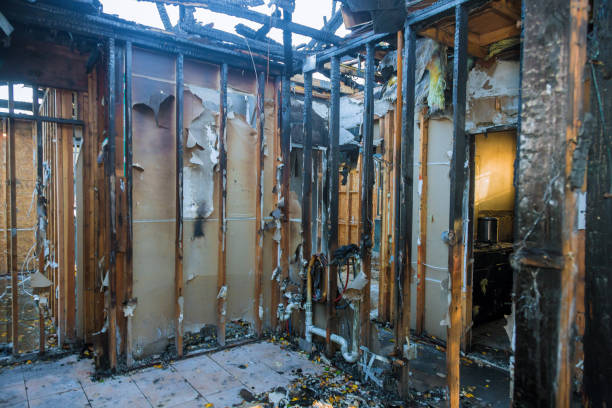 Professional Fire Damage Removal technician working in Eden, TX